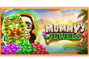 vc8888 live casino